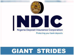 NDIC logo