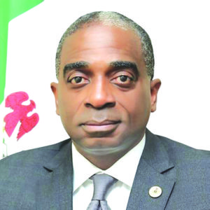 Olusegun Awolowo, Executive Director and Chief Operating Officer of NEPC 