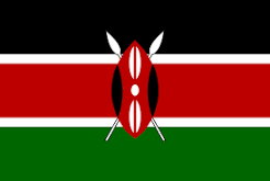 Kenya establishes a dedicated body to fight cyber threats