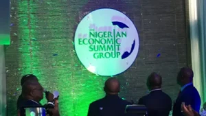 Nigeria’s economy to grow by 4.2% in 2026 – NESG